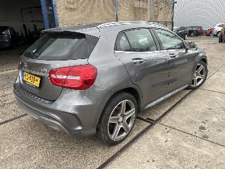Mercedes GLA 200 CDI picture 10