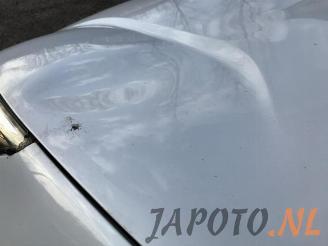 Kia Niro Niro I (DE), SUV, 2016 / 2022 1.6 GDI Hybrid picture 22