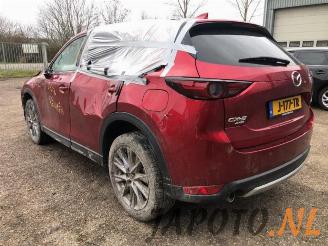 Mazda CX-5 CX-5 (KF), SUV, 2016 2.0 SkyActiv-G 165 16V 4WD picture 13