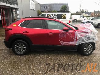 Mazda CX-30 CX-30 (DM), SUV, 2019 1.8 Skyactiv D 116 16V picture 8