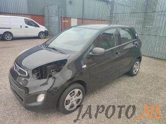 krockskadad bil auto Kia Picanto Picanto (TA), Hatchback, 2011 / 2017 1.0 12V 2011/6