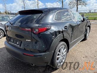Mazda CX-30 CX-30 (DM), SUV, 2019 2.0 e-SkyActiv-G 150 16V picture 5