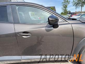 Mazda CX-3 CX-3 (DJ/DK), SUV, 2015 2.0 SkyActiv-G 120 picture 19
