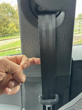 Seat Ibiza 1.0TSI Style buss. Automaat 45.000KM Pano picture 26