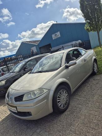 Renault Mégane II CC (EM) Cabrio 2.0 16V (F4R-770) [99kW] 6-BAK picture 3