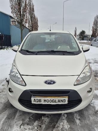 Coche siniestrado Ford  II Hatchback 1.2 (169.A.4000(Euro 4; Euro 5)) [51kW] 5-BAK 2010/1
