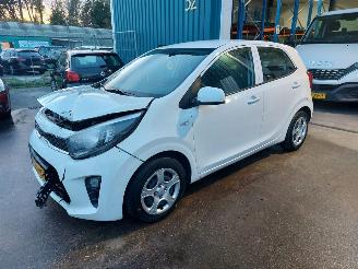 Unfallwagen Kia Picanto Picanto (JA) Hatchback 1.0 12V (G3LD) [49kW] 2023/6