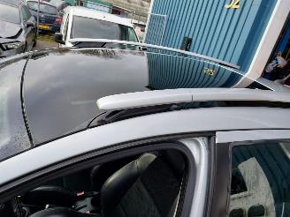 Peugeot 207 1.6 16v  SW picture 7