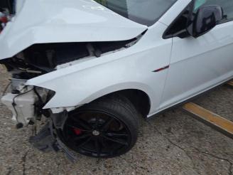 Volkswagen Golf Golf VII (AUA), Hatchback, 2012 / 2021 2.0 GTI 16V Performance Package picture 9