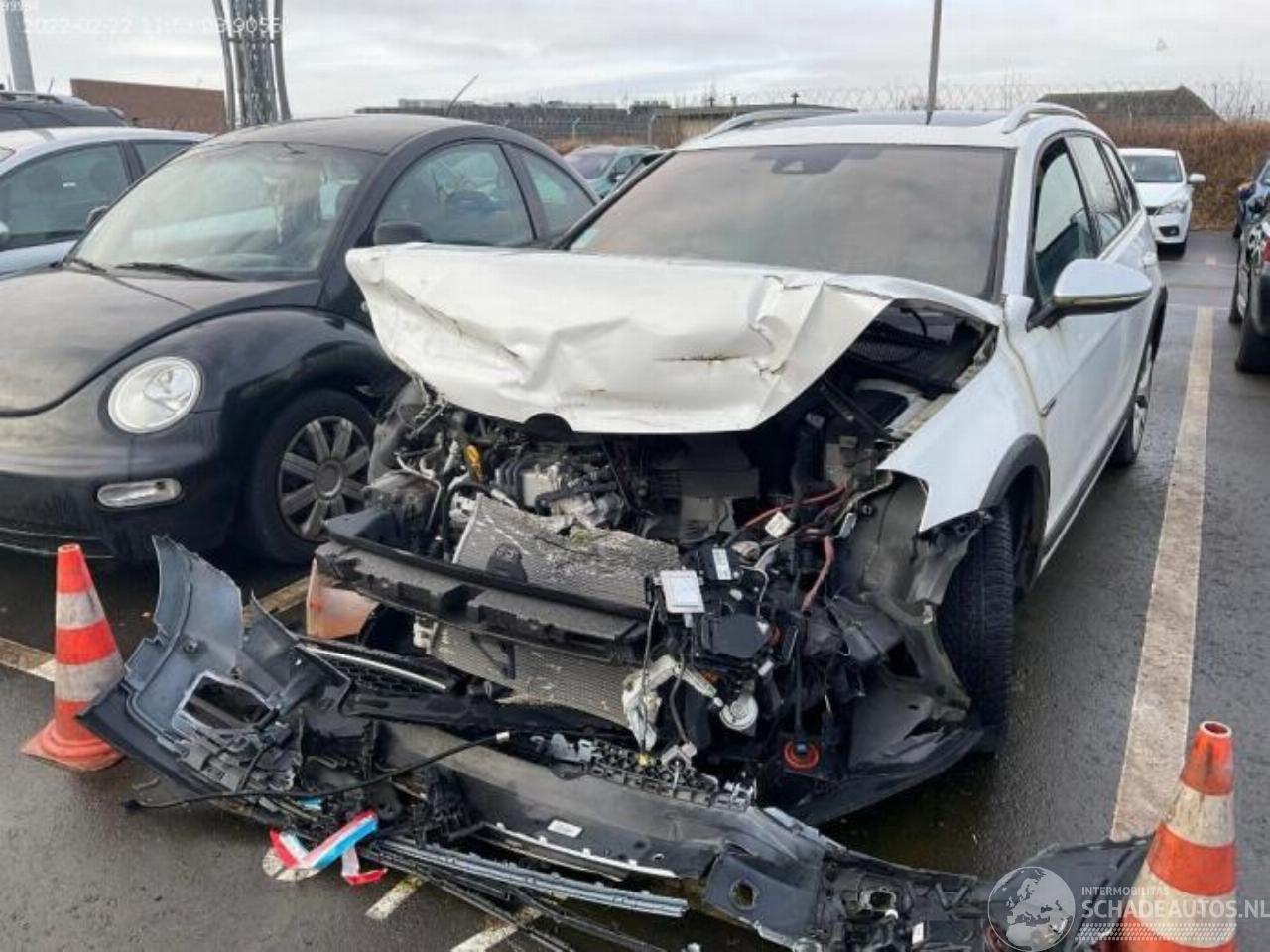 Volkswagen Golf Golf VII Alltrack, Combi, 2014 / 2020 2.0 GTD 16V 4Motion