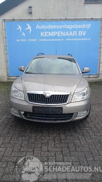 Skoda Octavia Octavia Combi (1Z5) Combi 5-drs 1.2 TSI (CBZB) [77kW]  (02-2010/04-201=
3)