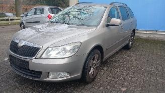 Skoda Octavia Octavia Combi (1Z5) Combi 5-drs 1.2 TSI (CBZB) [77kW]  (02-2010/04-201=
3) picture 4