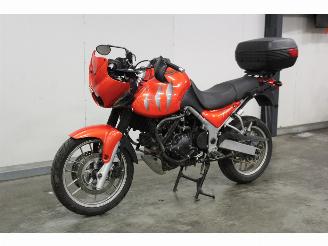 Triumph Tiger  picture 2