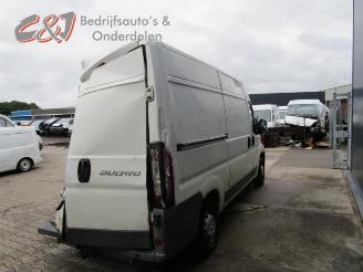 Fiat Ducato Ducato (250), Bus, 2006 2.3 D 120 Multijet picture 3
