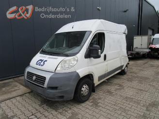Fiat Ducato Ducato (250), Bus, 2006 2.3 D 120 Multijet picture 1