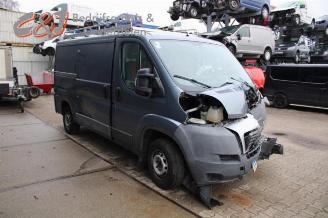 Fiat Ducato Ducato (250), Bus, 2006 2.3 D 120 Multijet picture 6