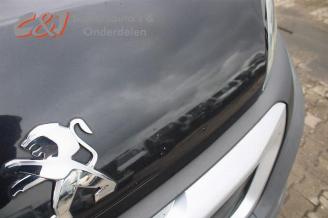 Peugeot Boxer Boxer (U9), Van, 2006 2.2 HDi 110 Euro 5 picture 10