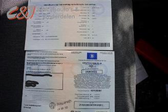 Fiat Doblo Doblo Cargo (263), Van, 2010 1.3 D Multijet picture 19