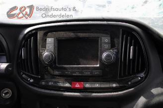 Fiat Doblo Doblo Cargo (263), Van, 2010 1.3 D Multijet picture 13