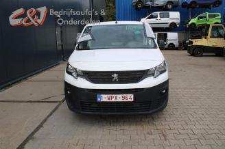 Peugeot Partner Partner (EF/EU), Van, 2018 1.5 BlueHDi 100 picture 9