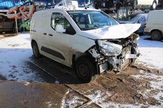 Opel Combo Combo Cargo, Van, 2018 1.6 CDTI 100 picture 8