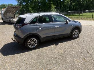 Opel Crossland PANODAK picture 3