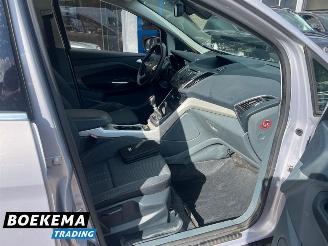 Ford C-Max 1.6 SCTi Titanium Climate Cruise PDC Trekh. picture 12