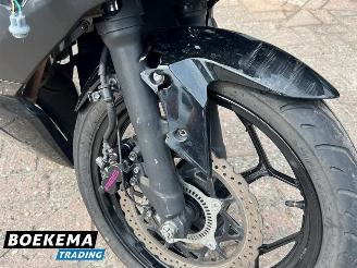 Kawasaki  Ninja 125 picture 10