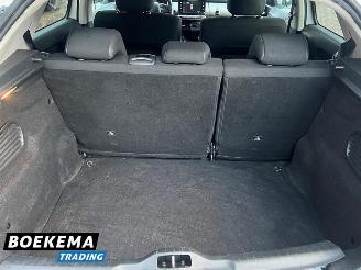 Citroën C4 cactus 1.2 PureTech Shine Virtual Navi Climate Cruise PDC picture 19