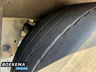 Schmitz Cargobull SCB*S3B picture 16