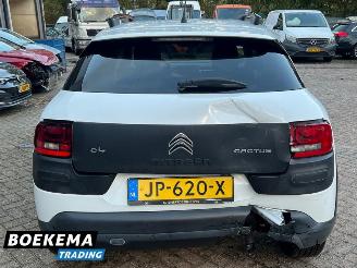 Citroën C4 cactus 1.2 PureTech Shine Virtual Navi Climate Cruise PDC picture 5