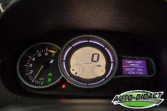 Renault Mégane 1.6 Celsium picture 7