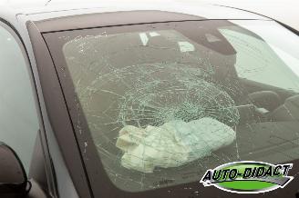 Peugeot e-208 EV Active Pack 50 kWh 56.042 km Automaat Clima Navi picture 32