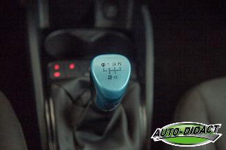 Seat Ibiza 1.6 Sport-up Airco Pano picture 10