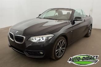 škoda osobní automobily BMW 2-serie 218i Cabrio Clima Navi CARPAS 2017/8