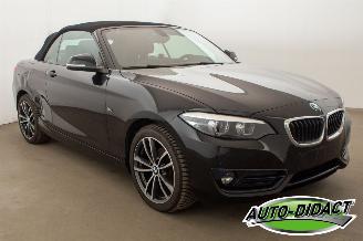 BMW 2-serie 218i Cabrio Clima Navi CARPAS picture 6