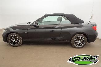 BMW 2-serie 218i Cabrio Clima Navi CARPAS picture 40
