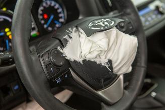 Toyota Rav-4 2.5 Hybrid Elek Pano Camera Leder Autom Navi picture 31