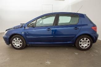 Peugeot 307 1.6-16V Automaat Clima XT Premium picture 34