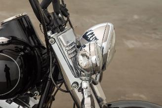 Harley-Davidson  FLSTC picture 18