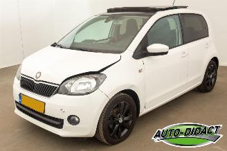 damaged passenger cars Skoda Citigo 1.0 Airco Open Pano Greentech Arctic Air 2013/4