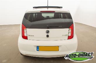 Skoda Citigo 1.0 Airco Open Pano Greentech Arctic Air picture 33