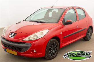 skadebil auto Peugeot 206 1.1 XR 2009/10
