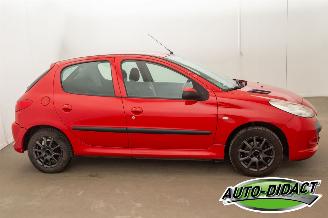 Peugeot 206 1.1 XR picture 29