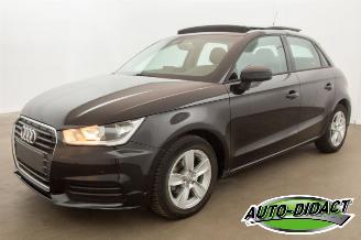 Avarii autoturisme Audi A1 1.0 TFSI Pano Navi Airco 2017/6