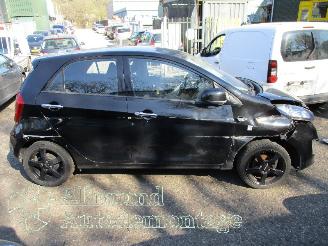 Kia Picanto Picanto (TA) Hatchback 1.0 12V (G3LA) [51kW]  (05-2011/06-2017) picture 4