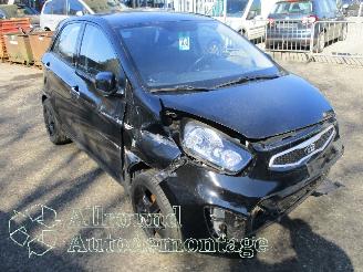 Kia Picanto Picanto (TA) Hatchback 1.0 12V (G3LA) [51kW]  (05-2011/06-2017) picture 2