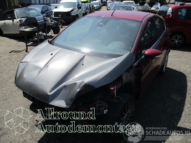 Ford Fiesta Fiesta 6 (JA8) Hatchback 1.0 EcoBoost 12V 100 (SFJA(Euro 5)) [74kW]  (=
01-2013/06-2017)