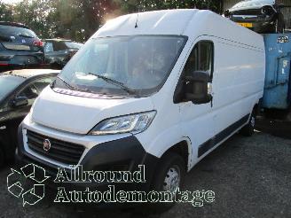 Coche siniestrado Fiat Ducato Ducato (250) Van 2.3 D 130 Multijet (F1AGL411D(Euro 6)) [96kW]  (08-20=
06/...) 2017