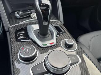 Alfa Romeo Stelvio Quadrifoglio Q4 Carbon / Pano / VOLL picture 15